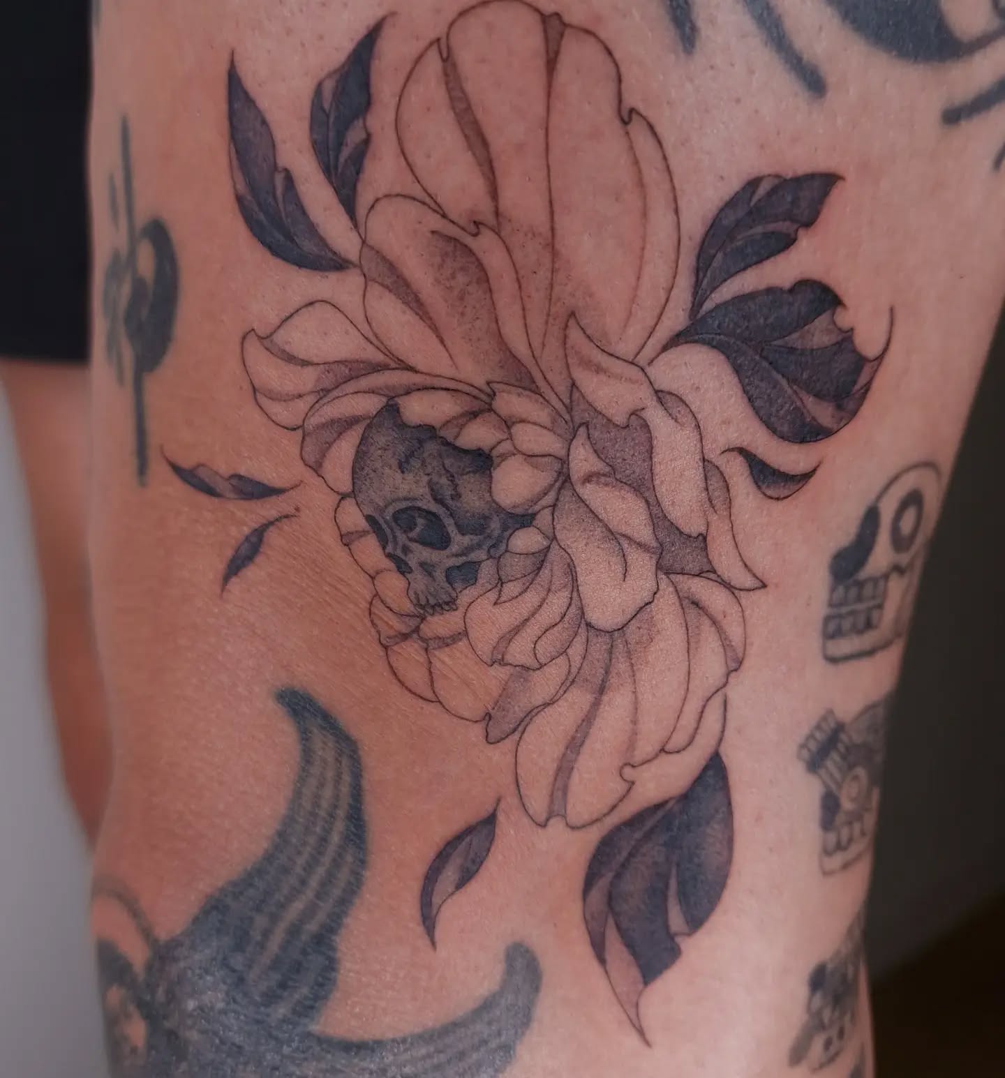 Dead Flowers collection 💀🌸