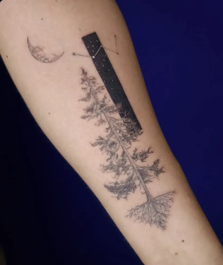 Bajo el bosque estrellado