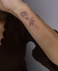 Rosa