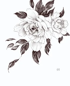 Rosas y calavera